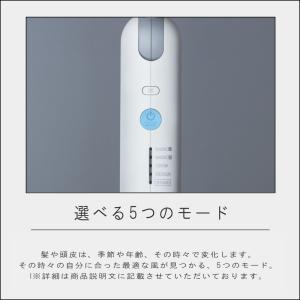 (ポイント10倍)( Re・De Hairdr...の詳細画像5