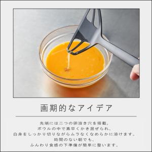 DayDay.で紹介( パパッと玉子焼きターナ...の詳細画像3