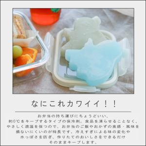 (メール便送料無料) ( バラエティアイスパッ...の詳細画像1