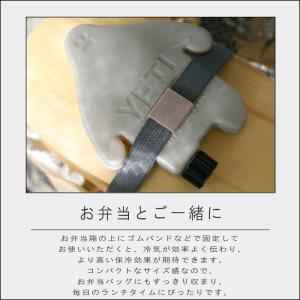 (メール便送料無料) ( バラエティアイスパッ...の詳細画像2