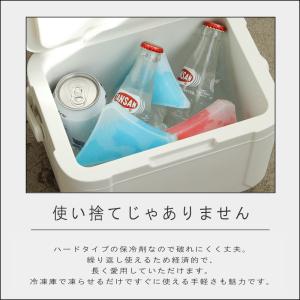 (メール便送料無料) ( バラエティアイスパッ...の詳細画像3