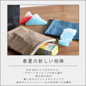 (メール便送料無料) ( バラエティアイスパッ...の詳細画像5