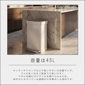 ( レクタンギュラーステップカン 45L ツヤ...の詳細画像3