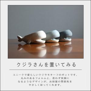 (在庫限り)(ポイント10倍)( プラヤポット...の詳細画像1