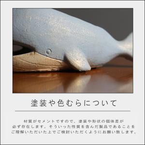 (在庫限り)(ポイント10倍)( プラヤポット...の詳細画像3