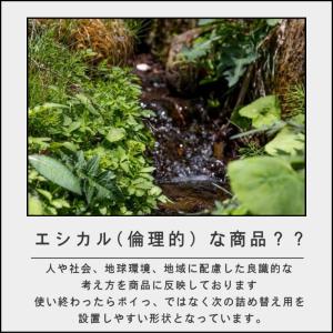 (ポイント2倍)( ディフューザー セット エ...の詳細画像2