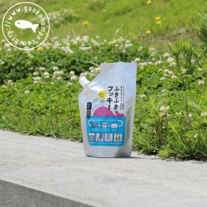 がんこ本舗 (10%OFFクーポン)( 海へ… fukii 3kg BOX ) 詰め替え がんこ