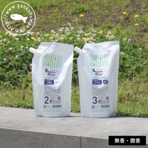 がんこ本舗 (10%OFFクーポン)( 海へ… fukii 3kg BOX ) 詰め替え がんこ