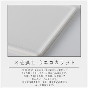 ( エコカラット ボトル 乾燥スティック ) ...の詳細画像2