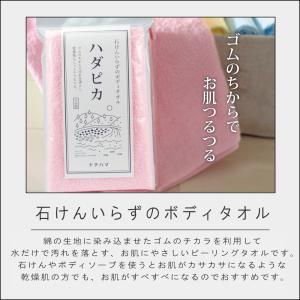 (ポイント2倍)(メール便送料無料)( 健康 ...の詳細画像1