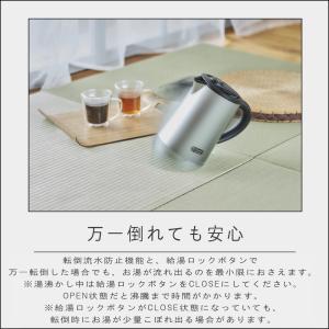 (ポイント10倍)( 最新モデル ベーシック ...の詳細画像2