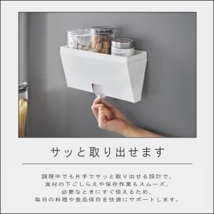( マグネットプラスチックバッグケース トレー...の詳細画像3
