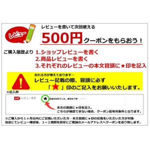 ( ホルダー付き マグネット キーフック リン...の詳細画像5