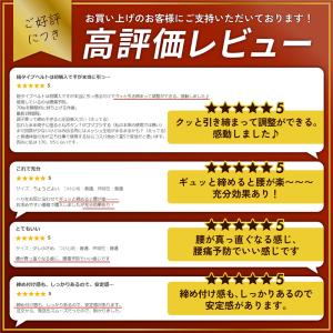 骨盤ベルト サポーター 腰痛 ケア 姿勢 補正...の詳細画像2