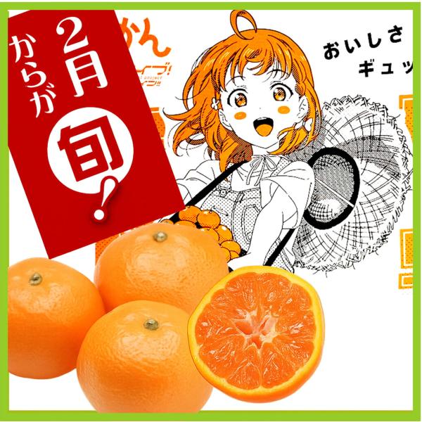 寿太郎みかん Ｌサイズ１０ｋｇ ラブライブ！サンシャイン!! コラボパッケージ 産地直送  静岡 沼...