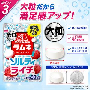 森永 大粒ラムネ ソルティライチ 10袋 塩分...の詳細画像2