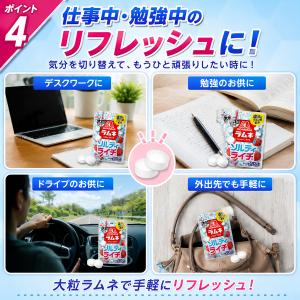 森永 大粒ラムネ ソルティライチ 10袋 塩分...の詳細画像3