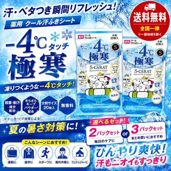 汗拭きシート KOSE エスカラット 薬用 大判 クール汗ふきシート 極寒 無香料 20枚入 各種 ...