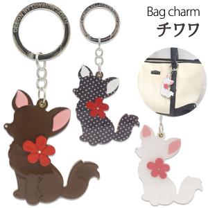 PASTEL（etranger di costarica） パステル（Pastel）（メンズ