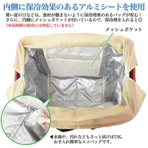エコバッグ レジカゴバッグ 自転車カゴ用 保冷...の詳細画像3