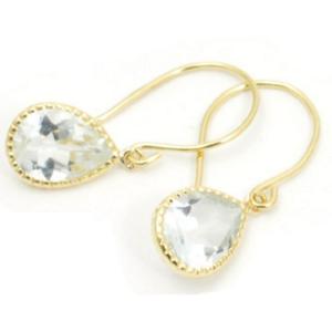 SWAROVSKI（スワロフスキー） 『Iconic Swan ジャケットピアス