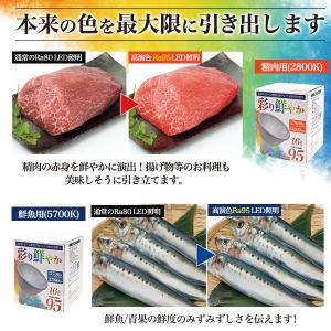 LED電球 ビーム球型 E26 100W形相当...の詳細画像4