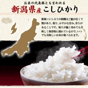 お米 コシヒカリ 無洗米 新潟産 1合パック ...の詳細画像3