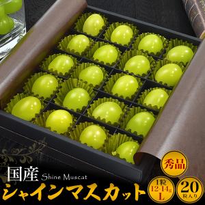 マンゴー 宮崎マンゴー 4L 1玉 500g以上 完熟マンゴー 宮崎県産 国産