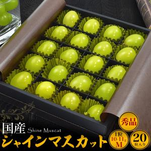 マンゴー 宮崎マンゴー 4L 1玉 500g以上 完熟マンゴー 宮崎県産 国産