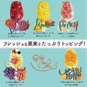 アイス フルーツアイスバー 10本 ギフトセッ...の詳細画像1