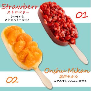 アイス フルーツアイスバー 10本 ギフトセッ...の詳細画像5