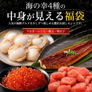 うなぎ 国産 蒲焼き 海鮮福袋 4種 いくら ...の詳細画像1