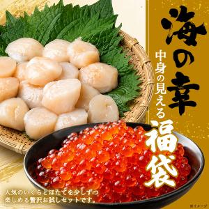 海鮮ギフト いくら醤油漬け 北海道産生ホタテ ...の詳細画像1