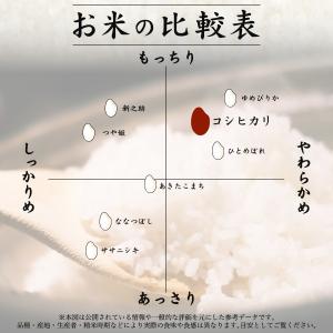 魚沼産コシヒカリ 無洗米 新潟産 1合×5袋 ...の詳細画像4