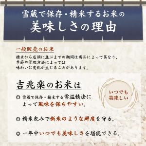 魚沼産コシヒカリ 無洗米 新潟産 1合×5袋 ...の詳細画像5