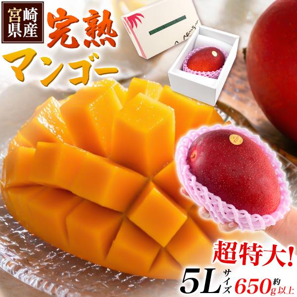 マンゴー 宮崎マンゴー 5L 超大玉 650g以上 完熟マンゴー 宮崎県産 国産 お中元 ギフト 贈...