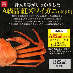 訳あり カニ 紅ズワイガニ 姿 3〜5杯 ボイ...の詳細画像1