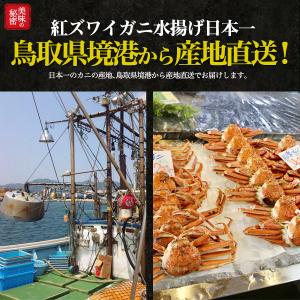 訳あり カニ 紅ズワイガニ 姿 3〜5杯 ボイ...の詳細画像5