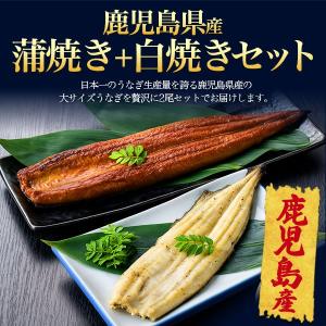 うなぎ 蒲焼き 白焼き 160g 2尾セット ...の詳細画像1