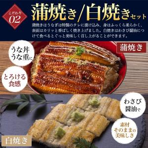 うなぎ 蒲焼き 白焼き 160g 2尾セット ...の詳細画像3