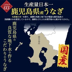うなぎ 蒲焼き 白焼き 160g 2尾セット ...の詳細画像4