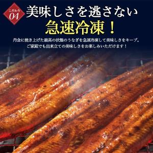 うなぎ 蒲焼き 白焼き 160g 2尾セット ...の詳細画像5