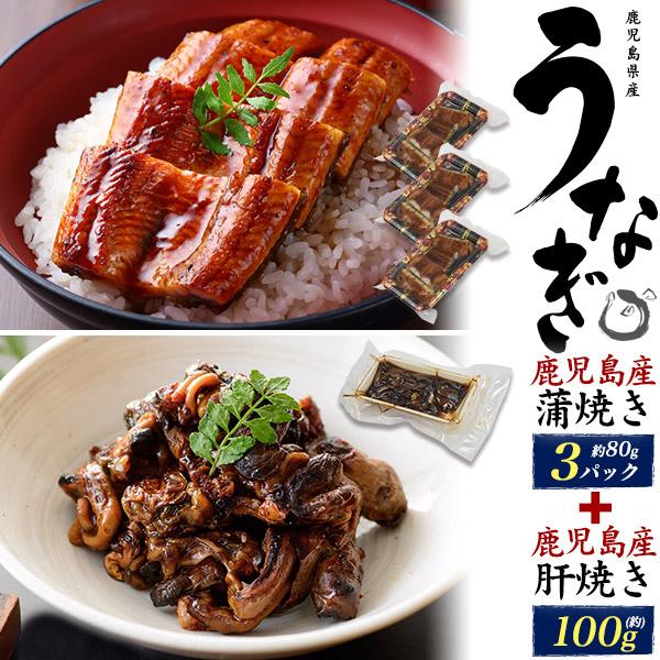 父の日 うなぎ 蒲焼き 訳あり 240g ＆ 肝焼き 100g ギフトセット 国産 ウナギ 鰻 鹿児...