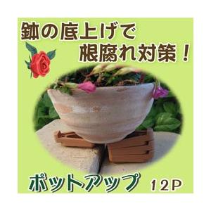 富士商　Fujisho　 ポットアップ 12個入 ブラウン
