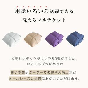 本日最大17%還元 ブランケット ひざ掛け ダ...の詳細画像3