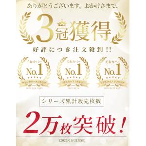 本日最大17%還元 ＼2点目半額/ 掛け布団カ...の詳細画像3