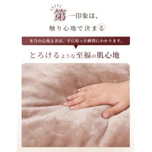 本日最大17%還元 ＼2点目半額/ 掛け布団カ...の詳細画像4
