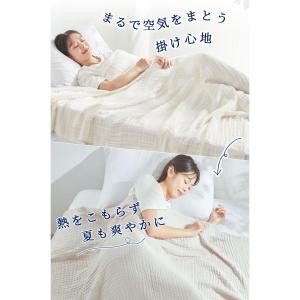 本日最大11%還元 タオルケット 綿100% ...の詳細画像2