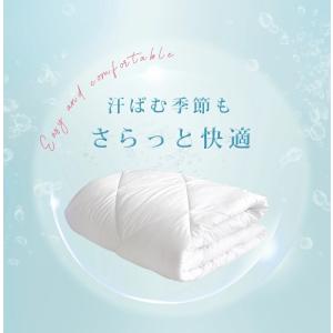 本日最大17%還元 肌掛け布団 セミダブル 肌...の詳細画像2