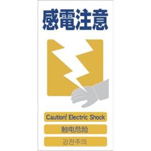 グリーンクロス グリーンクロス 4ヶ国語入り安全標識 感電注意 GCE‐13 300 x 1 x 600 mm 1146-1113-13